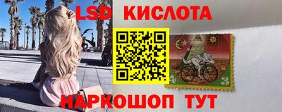 стаф Нарткала