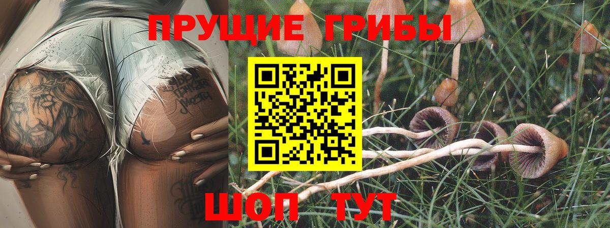 Фролово  Псилоцибиновые грибы GOLDEN TEACHER  Вход с VPN 