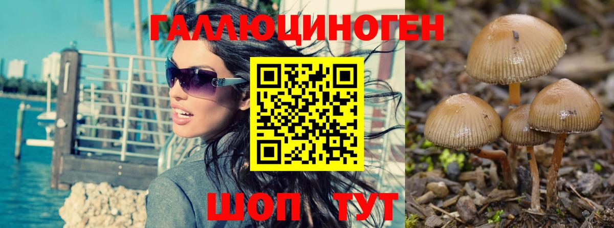 Галлюциногенные грибы MAGIC MUSHROOMS Фролово